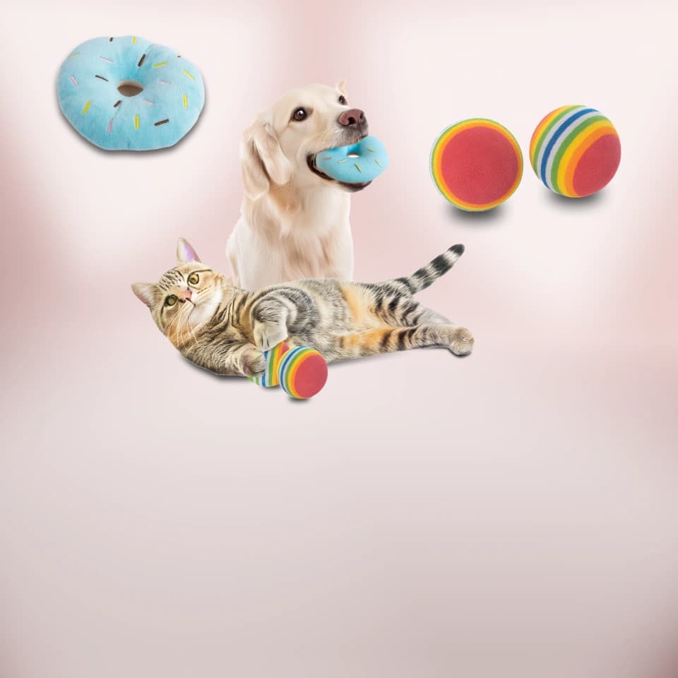 Con Gudyz también podrás consentir a tus mascotas.